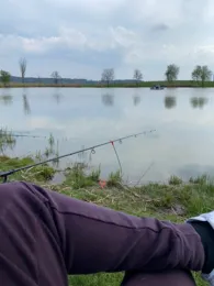 Pappelsee (Dietingen)