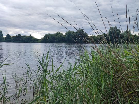 Kiessee Großheide-1