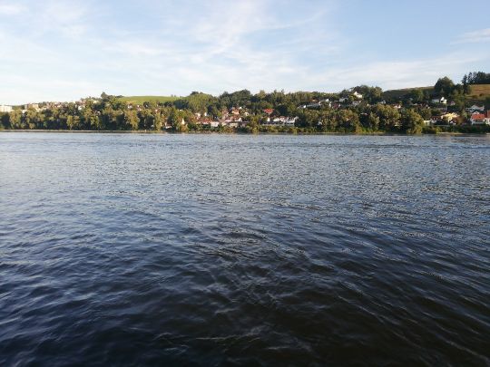 Donau (Passau) angeln