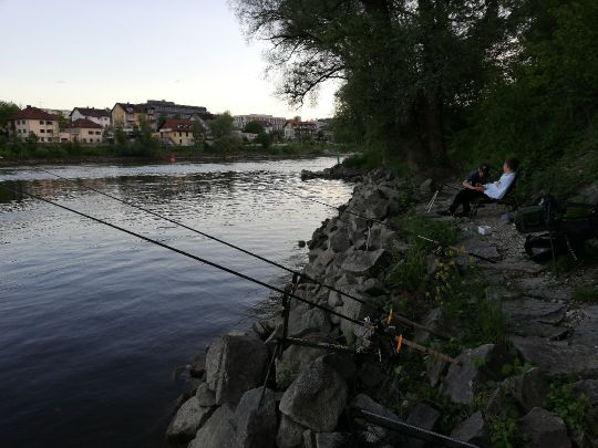 Donau (Passau)-1