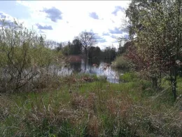 Pfaffenteich (Güstrow)-0