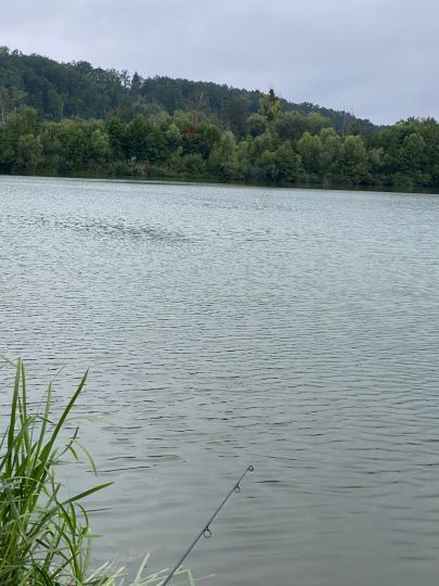 Stadtsee (Baunach)-1