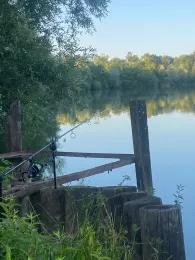 Stadtsee (Baunach)-2