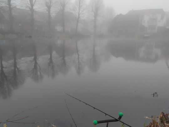 Altendorfer Teich (Boizenburg)-1