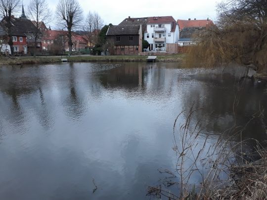 Altendorfer Teich (Boizenburg)-2