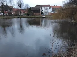 Altendorfer Teich (Boizenburg)-2