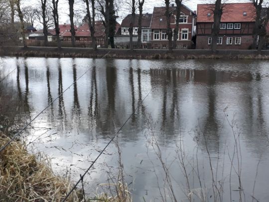 Altendorfer Teich (Boizenburg)-4