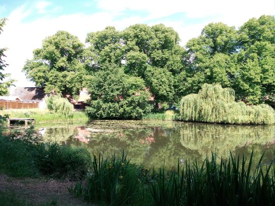 Altendorfer Teich (Boizenburg)-3