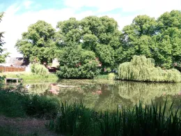 Altendorfer Teich (Boizenburg)-3