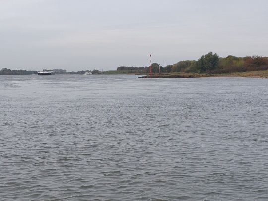 Rhein (Dinslaken)