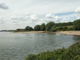Rhein (Dinslaken)-3