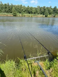 Torfstich am Gräninger See-1