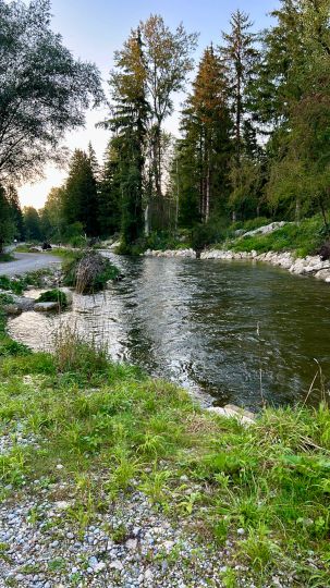 Lochbach (Königsbrunn)-4