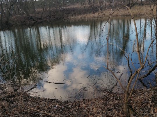 Schweinekuhle (Krugsdorf)