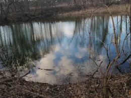 Schweinekuhle (Krugsdorf)