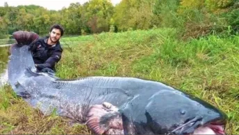 Rothweiher (Bubenreuth)