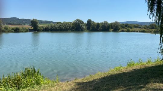 Teich 8 (ASV Eschwege) ALLE ANGELN