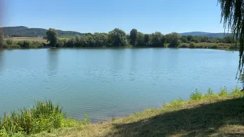 Teich 8 (ASV Eschwege)-1