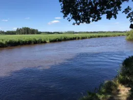 Nordloher-Barßeler Tief