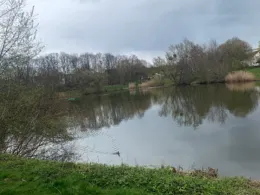 Salzteich (Wolfsburg)-2