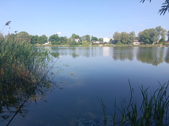 Haussee (Pragsdorf)-2