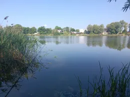 Haussee (Pragsdorf)-2