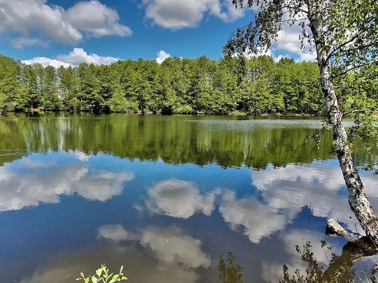 Torfstich Alt Töplitz-2