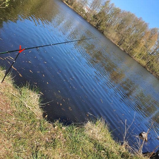 Torfstich Alt Töplitz-1