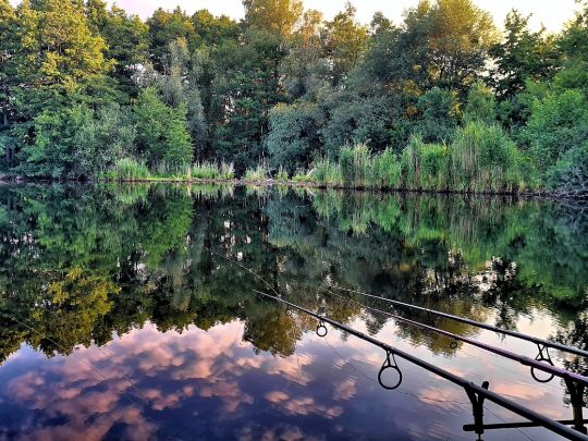 Torfstich Alt Töplitz-4