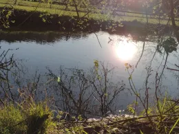 Gersprenz (Groß-Bieberau)-2