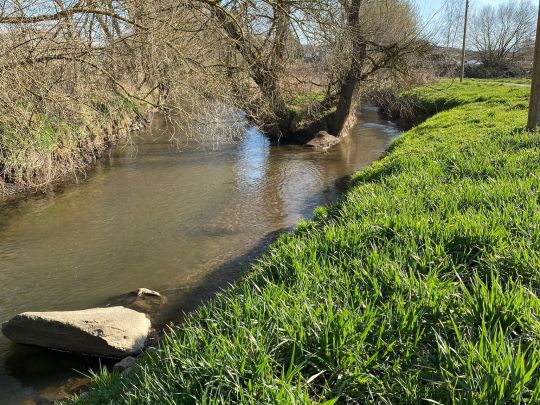 Gersprenz (Groß-Bieberau)-1