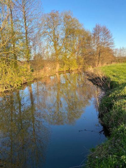 Gersprenz (Groß-Bieberau)-3