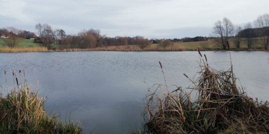 Stau Niederschöna-1