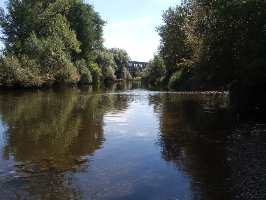 Saale (Großheringen)-1