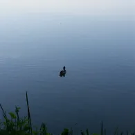 Schwanenteich (Zwickau)-4