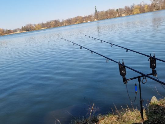 Schwanenteich (Zwickau)-1