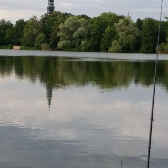 Schwanenteich (Zwickau)-2