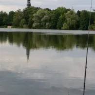 Schwanenteich (Zwickau)-2