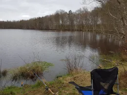 Reiherteich (Oldenburg)