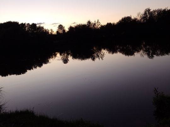 Lüscher Polder-1