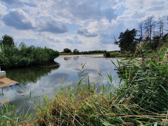 Schöpfwerk (Frauenhorst)-1