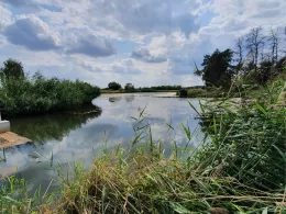 Schöpfwerk (Frauenhorst)-1