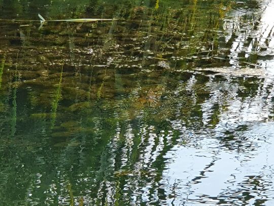 Schöpfwerk (Frauenhorst)-2