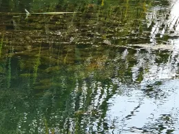 Schöpfwerk (Frauenhorst)-2