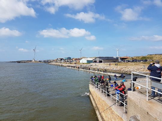 Hvide Sande (Schleuse)-2