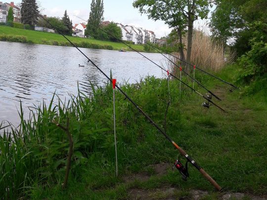 Kleine Weser (Bremen)-1