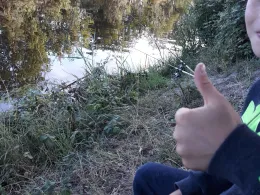 Ems-Seitenkanal (Emden)-1