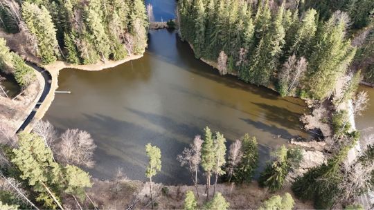 Kanalteich (Blumenthal)