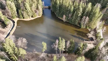 Kanalteich (Blumenthal)