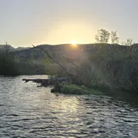 Rio Noguera Ribargozana (Alfarràs)